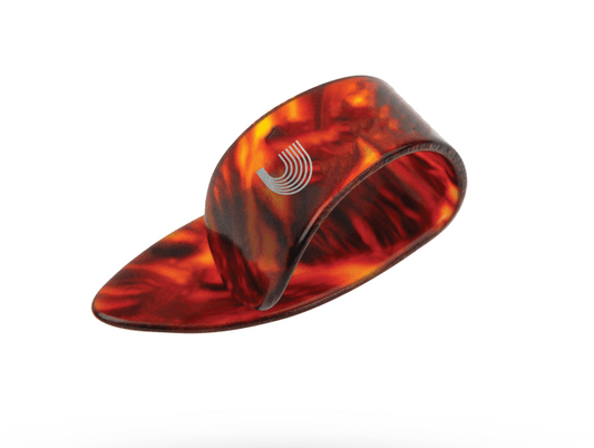 5CSH6 D'ADDARIO