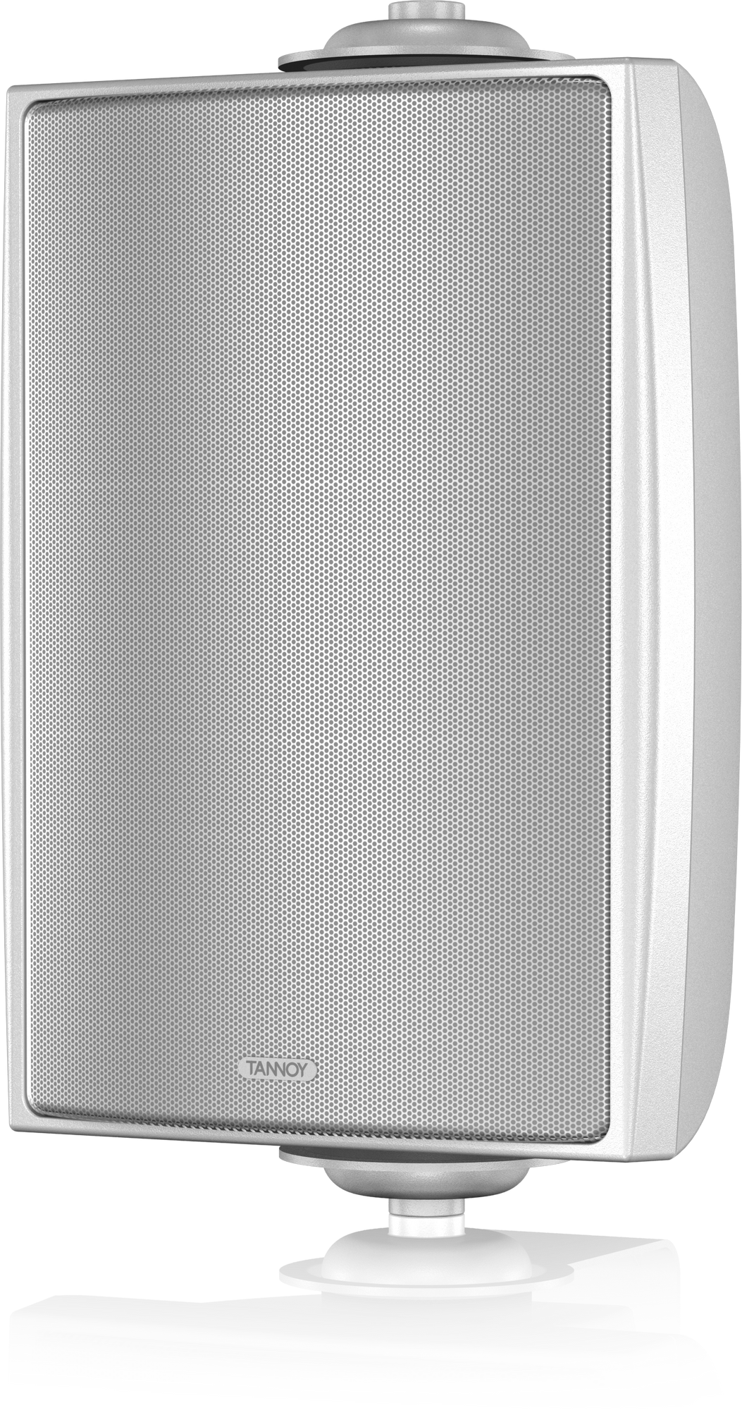 DVS 4 (paire) TANNOY