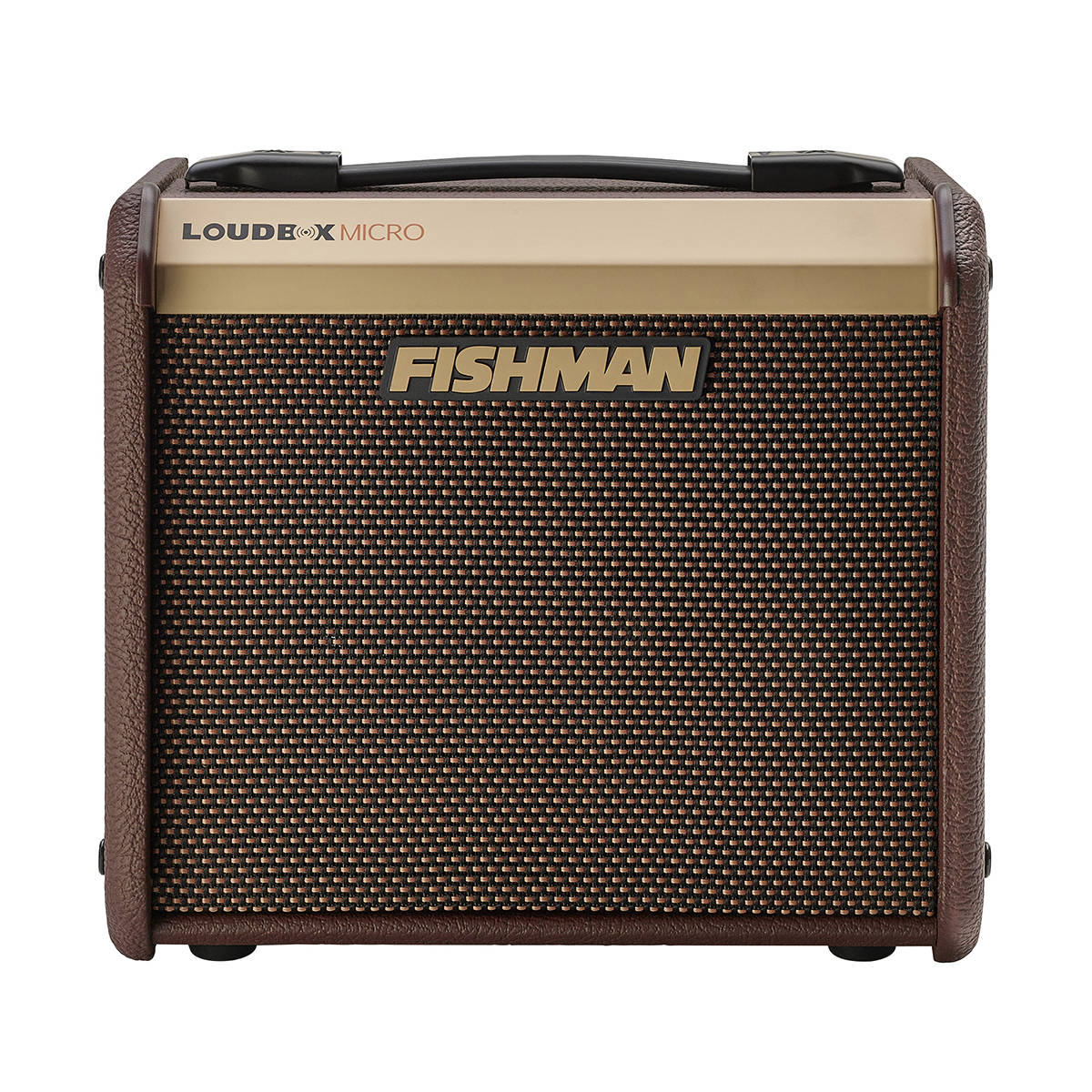 LOUDBOX MICRO FISHMAN