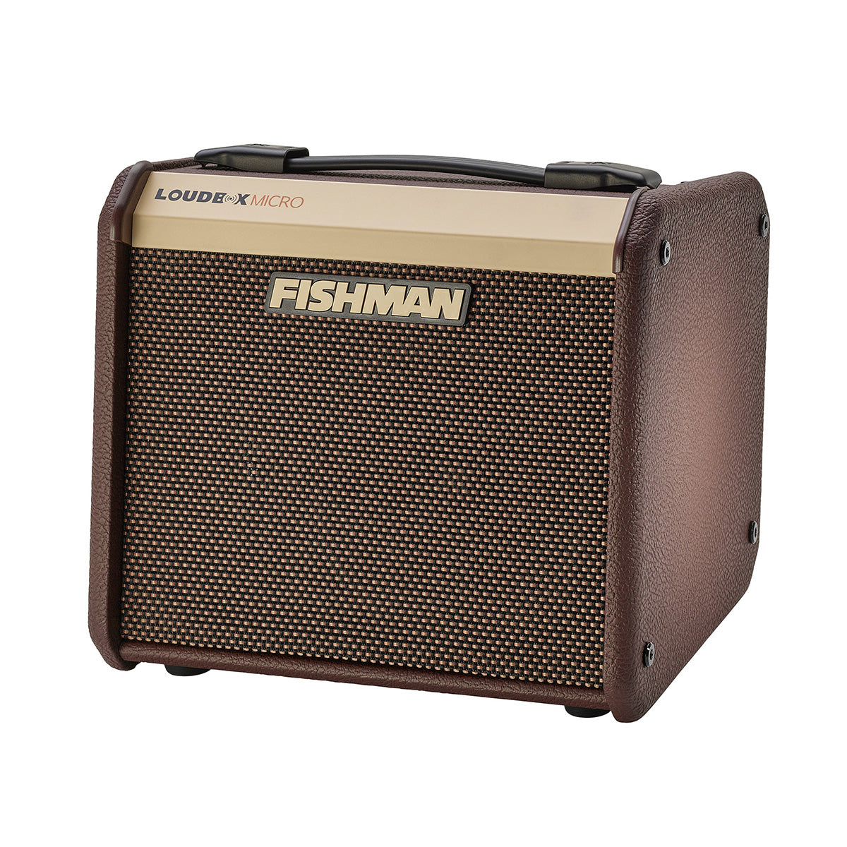 LOUDBOX MICRO FISHMAN