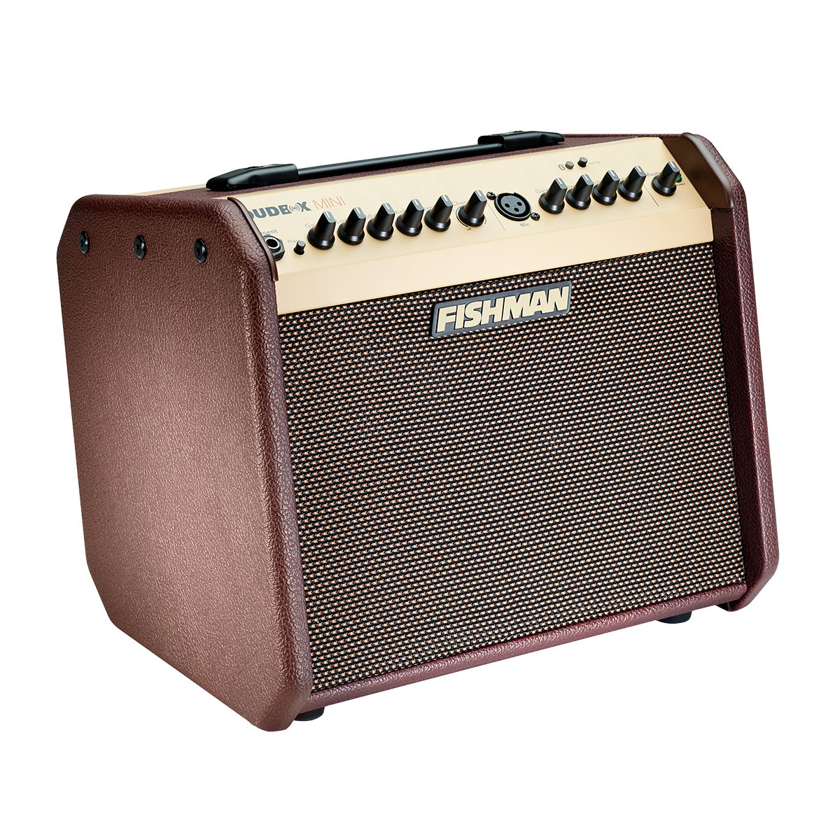 LOUDBOX MINI FISHMAN