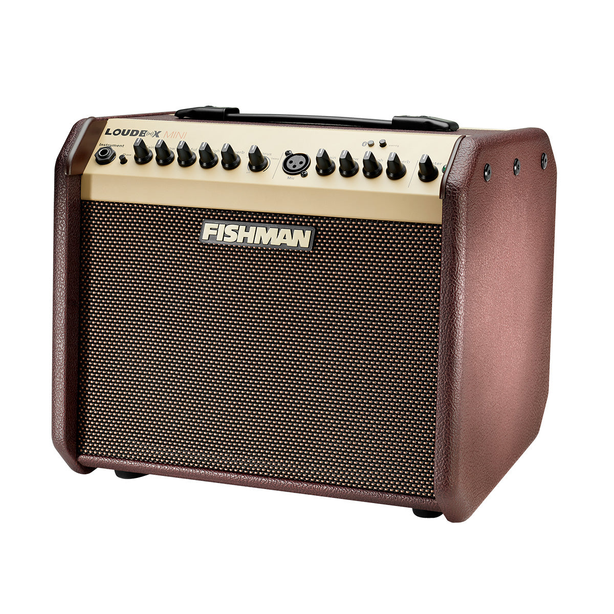 LOUDBOX MINI FISHMAN