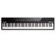 ALESIS CONCERT