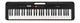 CT-S200BK CASIO