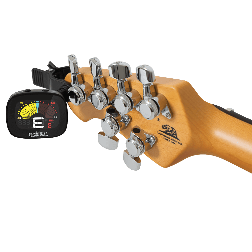 FLEXTUNE ERNIE BALL
