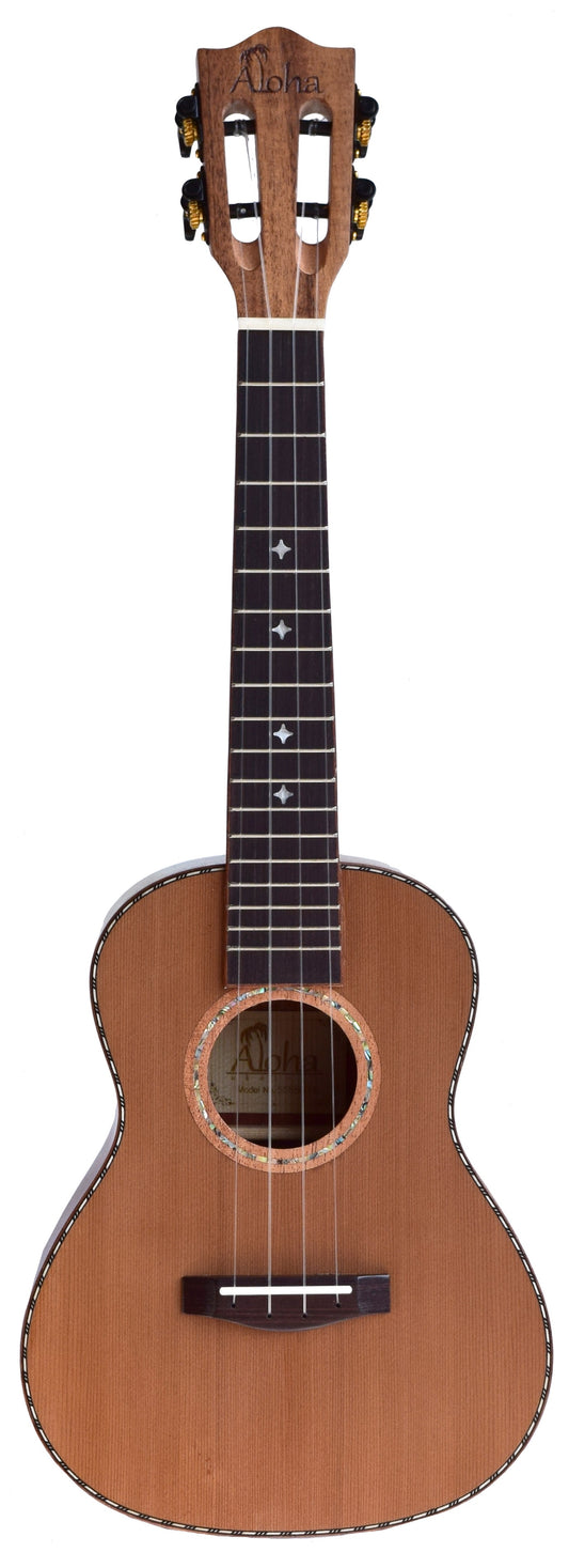 SS8500/C ALOHA