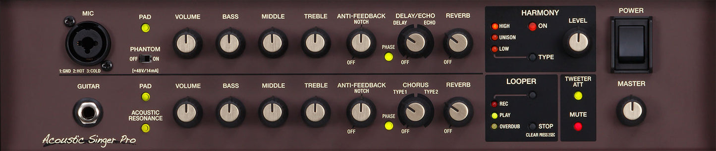 ACOUSTIC SINGER PRO BOSS