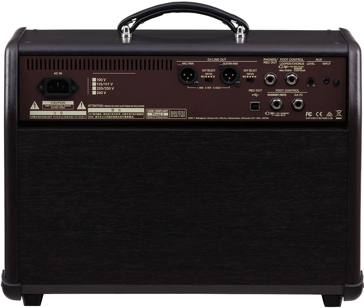 ACOUSTIC SINGER PRO BOSS