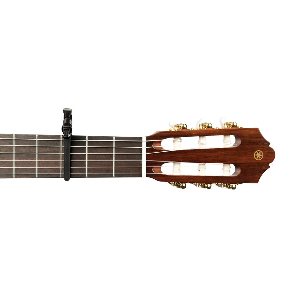 PW-CP-13 PLANET WAVES