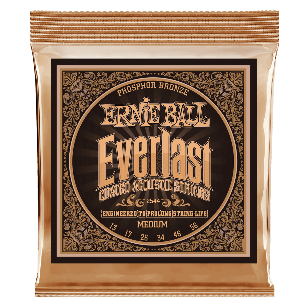 CORDE EVERLAST ERNIE BALL