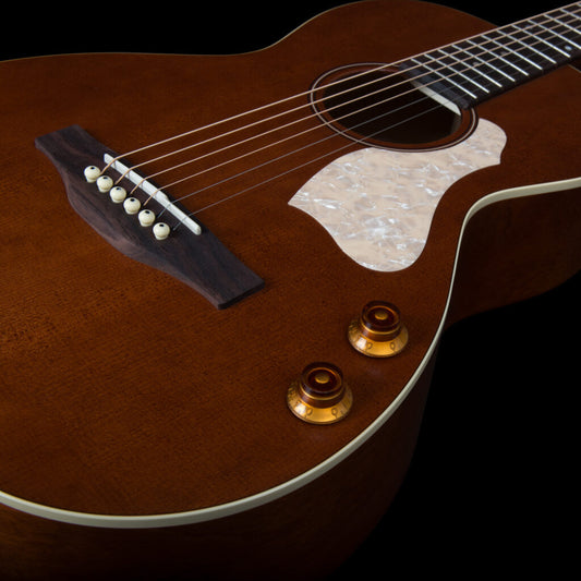 ROADHOUSE HAVANA BROWN Q-Discrete ART & LUTHERIE