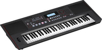 E-X50 ROLAND