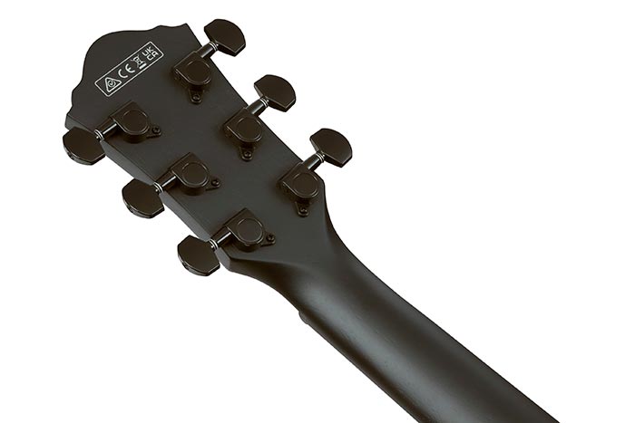 AEG621BOT IBANEZ