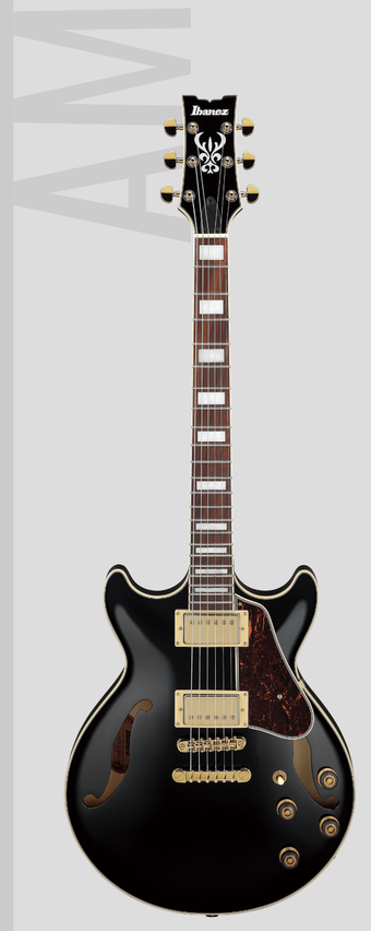 compare product AM73GBK IBANEZ