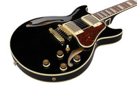 AM73GBK IBANEZ