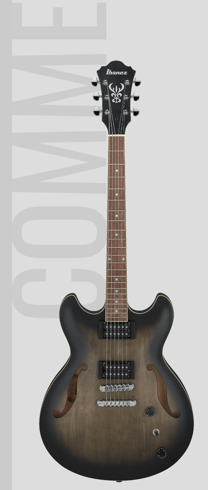 AS53TKF IBANEZ