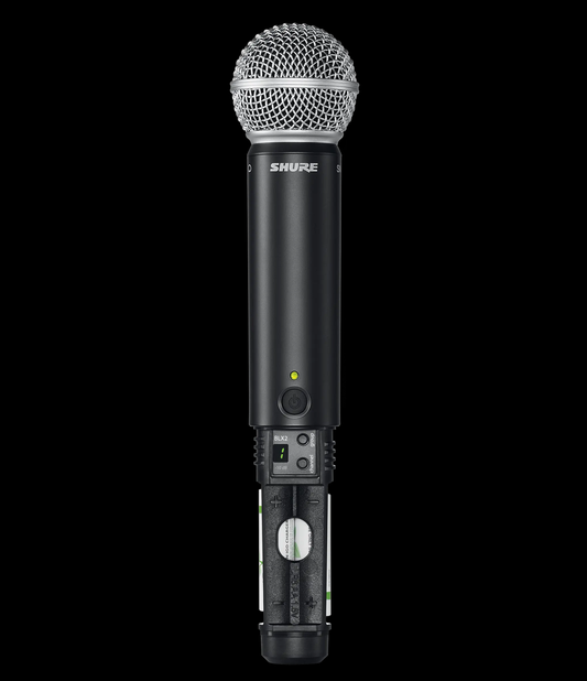 BLX288 / SM58-H10 SHURE