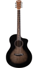 BTS9VCECH-D-U WASHBURN