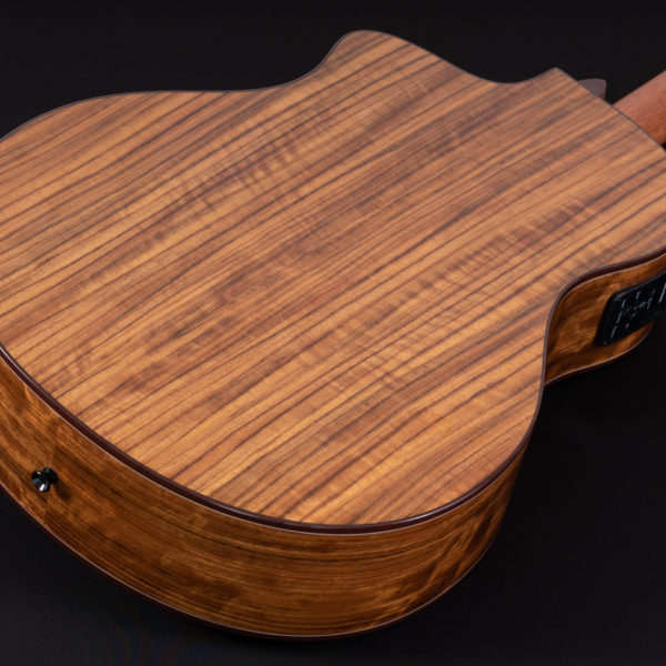 BTS9VCECH-D-U WASHBURN