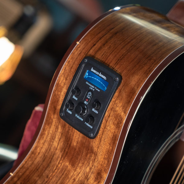 BTS9VCECH-D-U WASHBURN