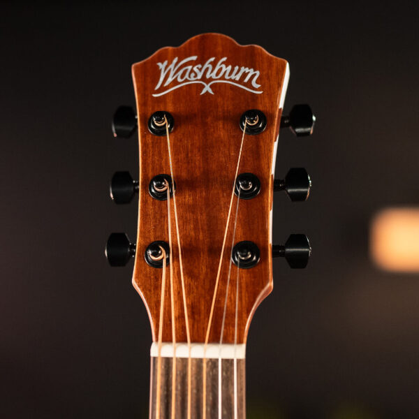 BTS9VCECH-D-U WASHBURN
