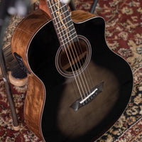BTS9VCECH-D-U WASHBURN