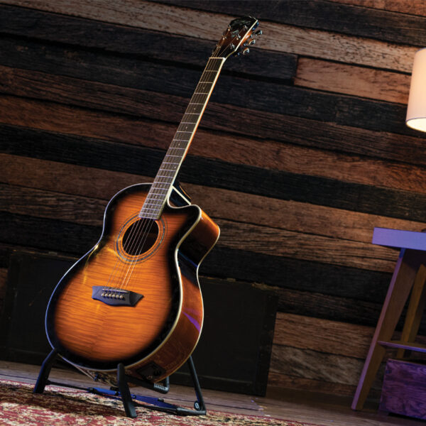 EA15ATB-A-U WASHBURN