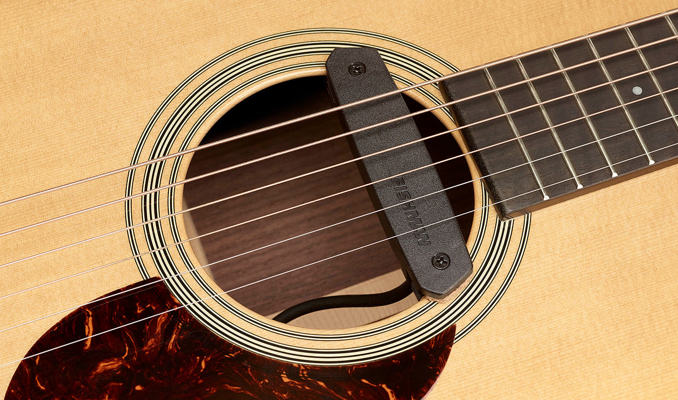 PRO-NÉO-D02 FISHMAN