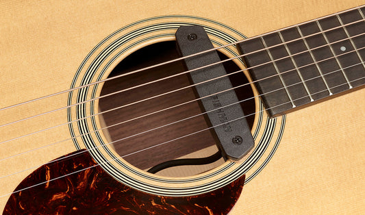 PRO-NÉO-D02 FISHMAN