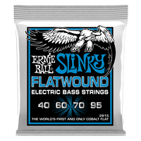 ERNIE BALL BASS STRING