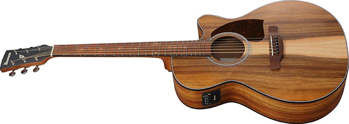 PC50WSCEOPB IBANEZ