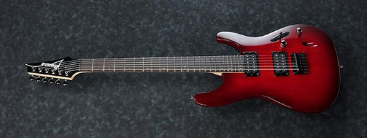 S521BBS IBANEZ