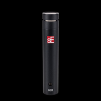 SE-VPACK/ARENA sE Electronics