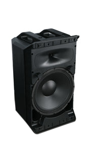 TYPHON-AX12-BT WHARFEDALE PRO