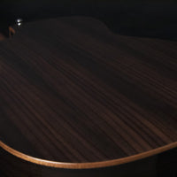 WCG20SCE WASHBURN