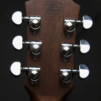 WCG20SCE WASHBURN