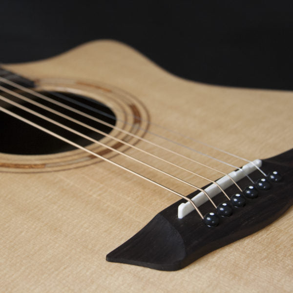 WCG20SCE WASHBURN