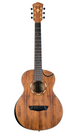 WCGM55K-D WASHBURN