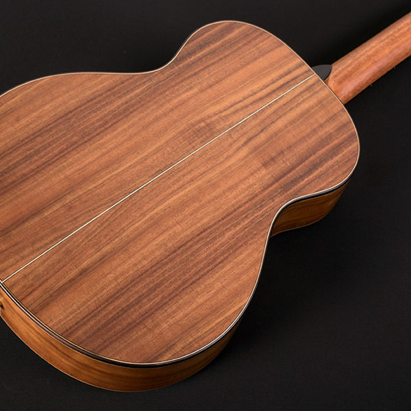 WCGM55K-D WASHBURN