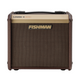 LOUDBOX MICRO FISHMAN