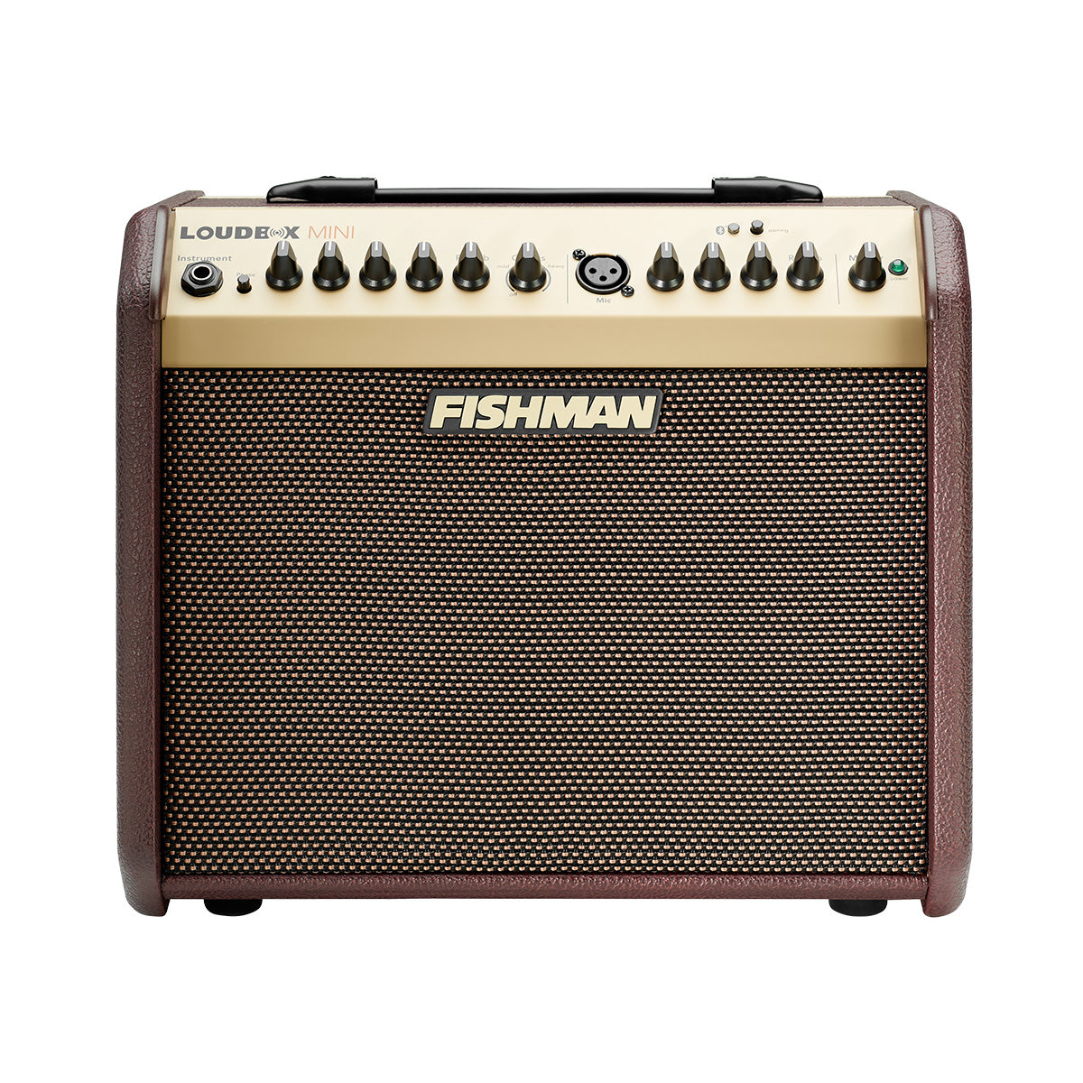 LOUDBOX MINI FISHMAN