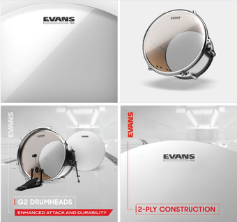 compare product TT12G2 EVANS