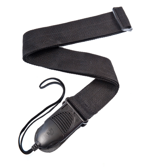 PWSPA200 D'ADDARIO