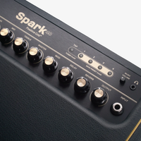 SPARK POSITIVE GRID