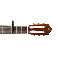 PW-CP-13 PLANET WAVES