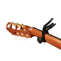 PW-CP-13 PLANET WAVES